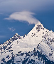 企业愿景